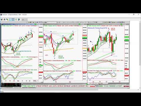 Basil Chapman on the Tom O'Brien Show - April 25th, 2019