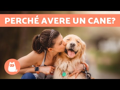 10 BENEFICI di AVERE un CANE 🐶✅ | Perché adottare un cane?