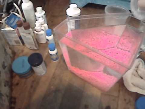 how to clean a betta fish tank