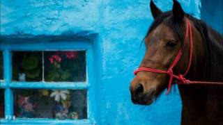 Lizeta Kalimeri   Salomi