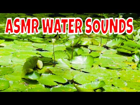 Discover Fiji’s Garden of the Sleeping Giant with ASMR Nature Sounds | LIFE BY HELMA