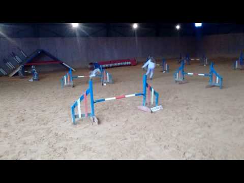 Jessica with Taz, Target Agility Christmas Party 2016 (2nd run)