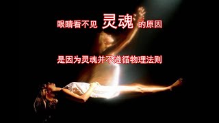 人的眼睛不可能看见真正的灵魂！因为灵魂并不遵循物理法则，其所遵循的法则决定着一个人的境遇、命运以及福报、未来。灵魂所遵循的基本法则，就是证明灵魂存在的证据