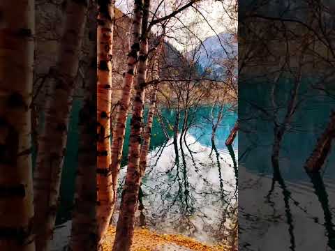 🌊 Lakeside Serenity – Calm Waters at the Edge! 🏞️✨ #shorts #mystivisions