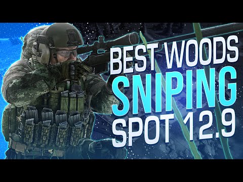 THE BEST SNIPING SPOT ON THE WOODS EXPANSION  - Escape from Tarkov