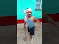 Quiet Quiet Quiet Shorts Funny Trending