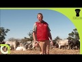 Census Of Commercial Agriculture CoCA 2017 Miles Dicke Eastern Cape