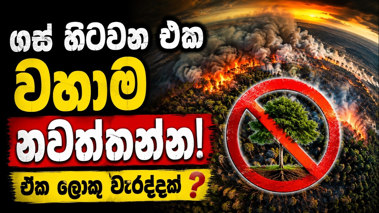 ගස් හිටවන එක වහාම නවත්තන්න!