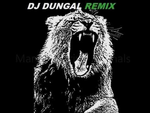 Dj Dungal - Animal T-Shirts (Martin Garrix, Dada Life)