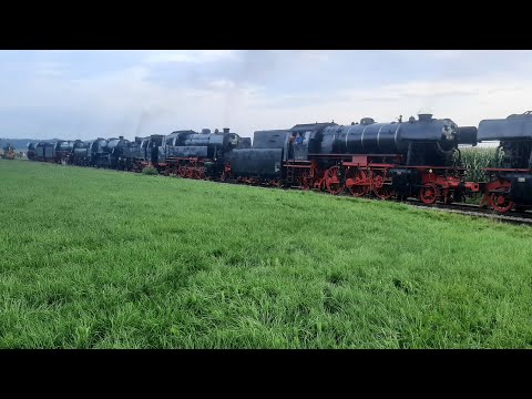 vsm loctrein vrijdag naar loenen