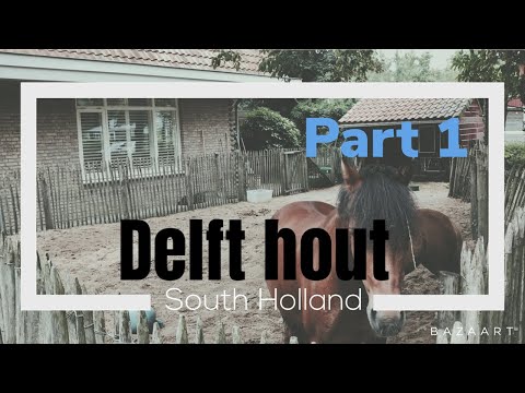 Delft Hout (vlog1)
