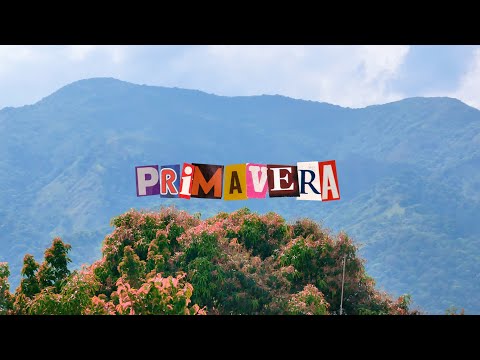 NZA 333 - Primavera (Official Video)