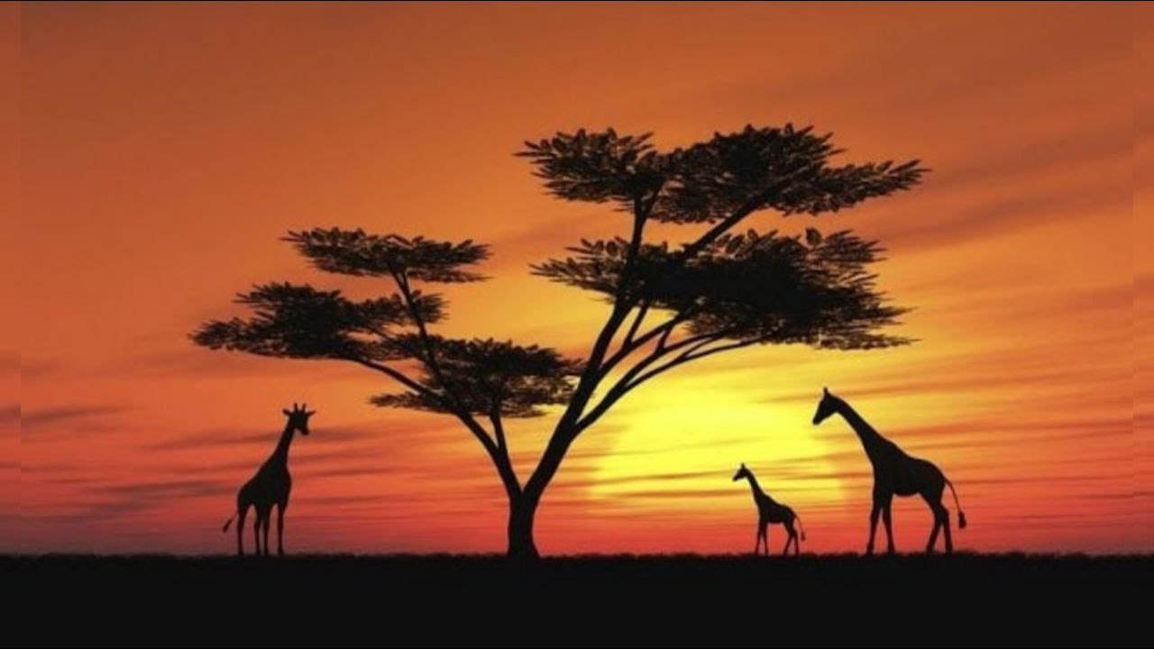 Paz e Bem #1349 - Ori e a Necessidade do Autocuidado (Iyá Adriana de Nanã) - 04.Ago.22