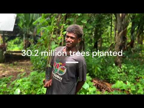 Plan Vivo: Our impact