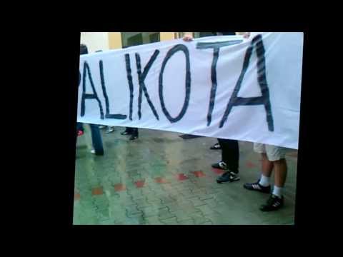Palikot ucieka