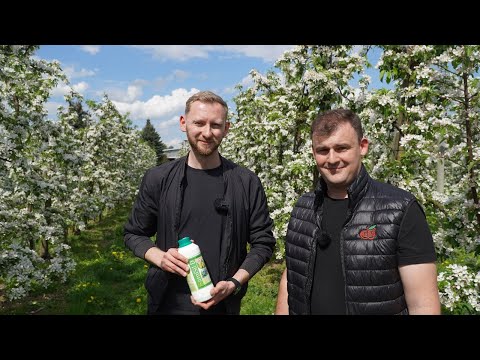 Kompleksowa biostymulacja w kluczowych momentach? GumiSil-D!