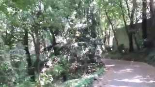 Villa Duchessa di Galliera Genova Voltri Italy