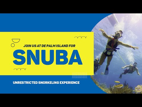 SNUBA by De Palm Tours - Aruba