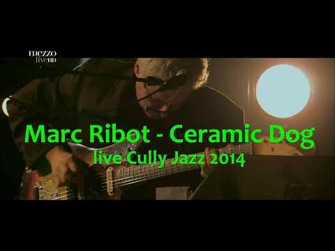 Marc Ribot Ceramic Dog - live at Cully Jazz Festival 2014