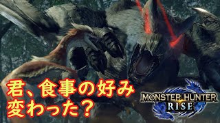 #13 【MHRise／Steam版】暗中鈍足ポンコツの視野（ゆっくり実況）