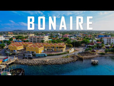 Bonaire Travel Guide: 9 Best Things to See & Do in Bonaire