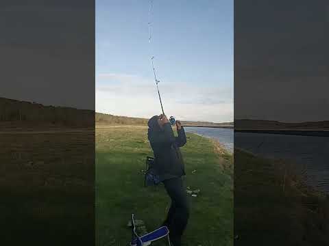 Fishing ? For Controversial Species.