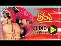 Theerpu Full Songs JukeBox Akkineni Nageshwar Rao Aamani Telugu Old Songs