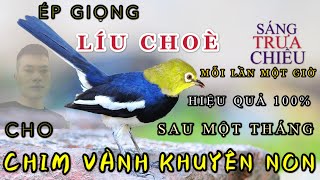 Luyện Giọng - Ép Giọng Khuyên Líu Choè H
