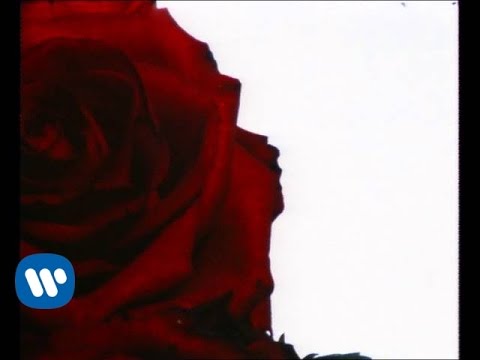 Så länge det lyser mittemot cover