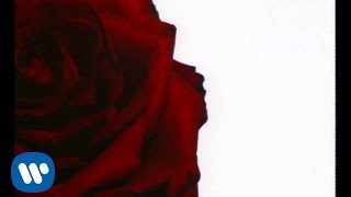 Marie Fredriksson - Så Länge Det Lyser Mitt Emot (Official Video)