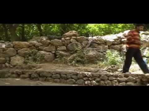 rzgar hawleri shaima