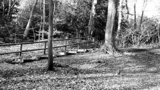 Who's Fooling Who? Feat. Christo (Official Video) Radio Edit