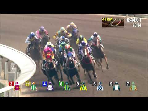 12/9/2021 (24) Flying Bonus - Alfred Chan