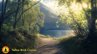1 Hour of Deep Reflection & Meditation Music - Beautiful Nature Relaxation for Study & Concentration
