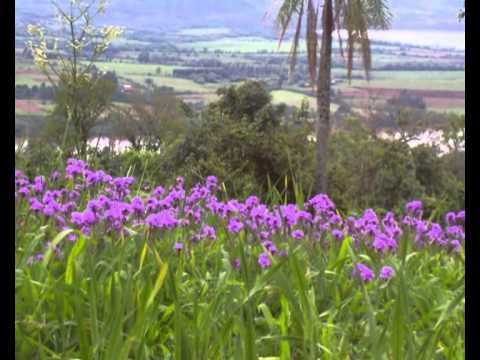 Tabaré Etcheverry - Leyenda de Cerro Largo