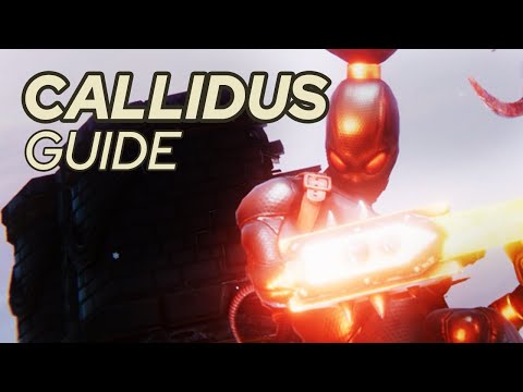 Callidus Guide: How to Solo Entire Missions? Chaos Gate Daemonhunters Execution Force