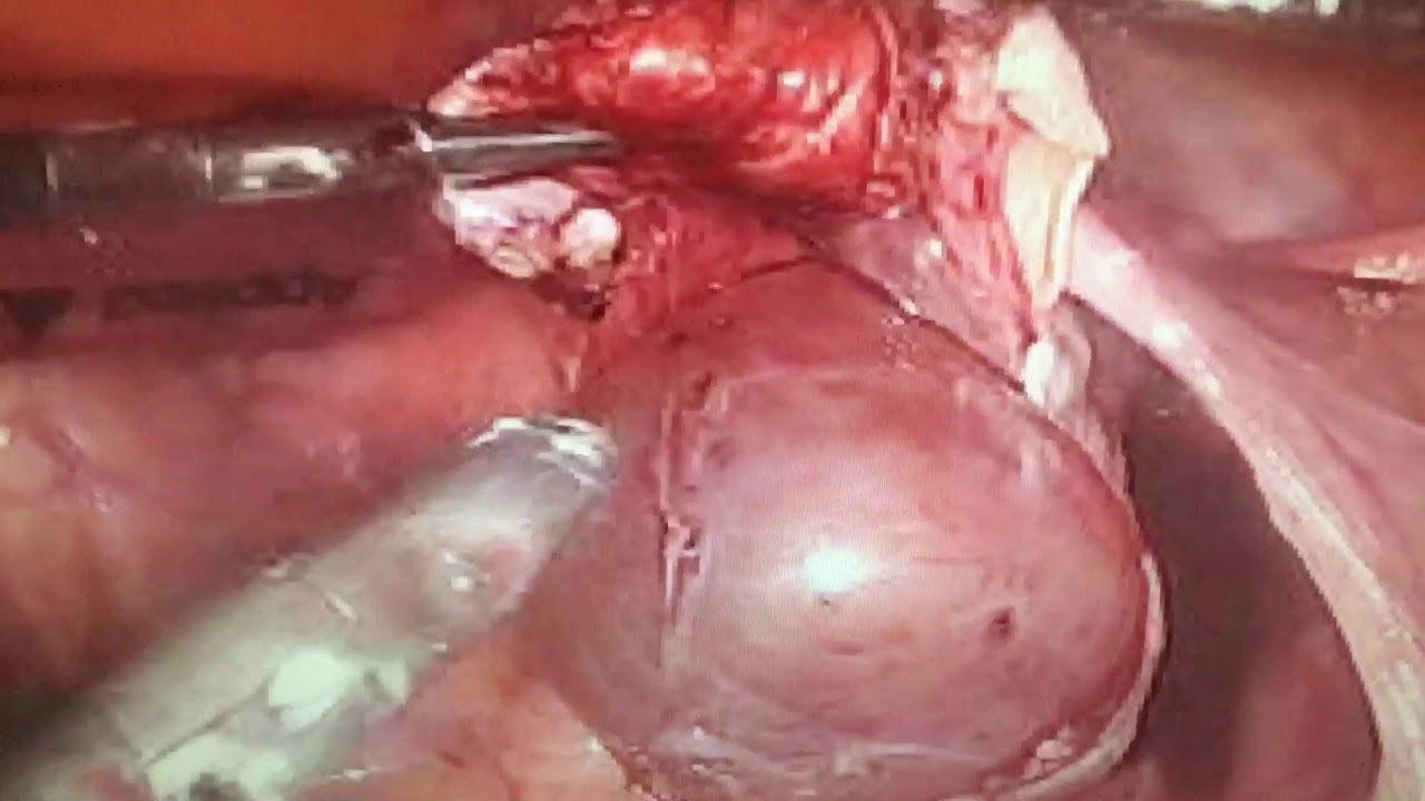 Guillermo Nájera González-17