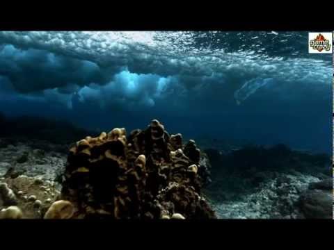 Human Planet Part 1 (Sinhala Sub)