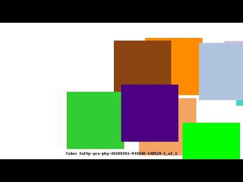 Video #sftp-gcs-pkg-20180301-043048-140529-1_of_1