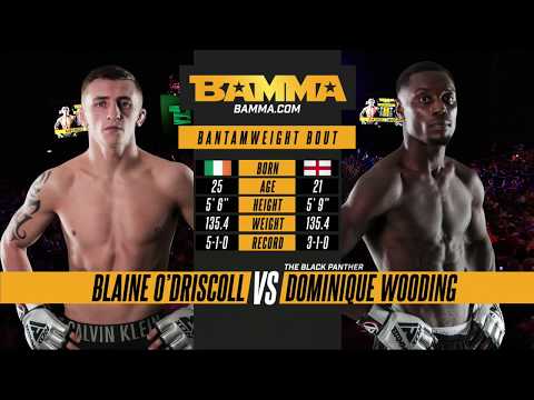 Dominique Wooding vs Blaine O'Driscoll full fight