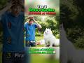 Hatching The Kitsune Zen Egg In Grow A Garden Roblox Kitsune Growagarden Aivideo