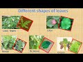 Grade 1 ENV Different Places In The Environment Part 1