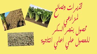 اعلي جبل في اليابان وهو جبل مقدس عند اليابانيين تنزيل الموسيقى Mp3 مجانا