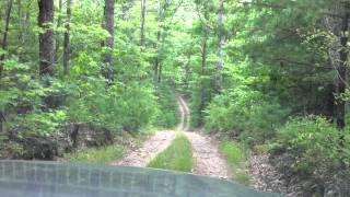 preview picture of video 'Seneca State Forest, WV Loop Road'