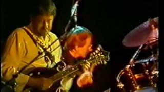 Fairport Convention : Angel Delight (live 1982)