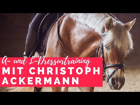 Training für A- und L-Dressur mit Christoph Ackermann