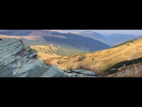 Promo tabăra Companionilor - 2018