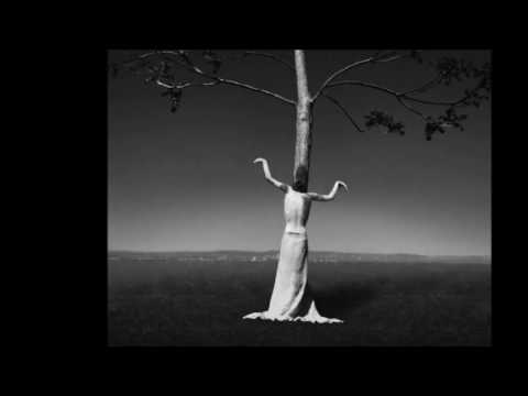 Jaromír Nohavica/5. Zatímco se koupeš/Noell Oszvald