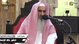 صورة تطور خلق الإنسان عبر مراحل متعددة!