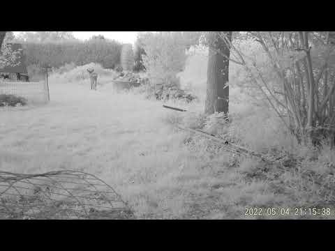 2022 0504 211517 008